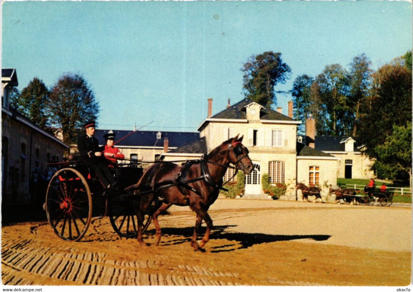 CPM Arnac-Pompadour - Haras de Pompadour - Abidjan (1060608)