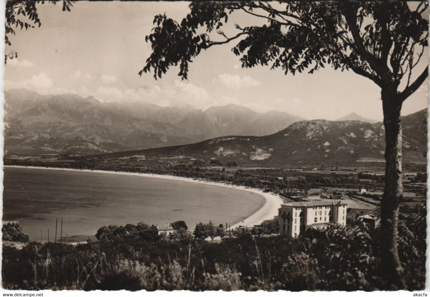 CPM Calvi La Plage et Hotel Calvi Palace CORSICA (1079260)