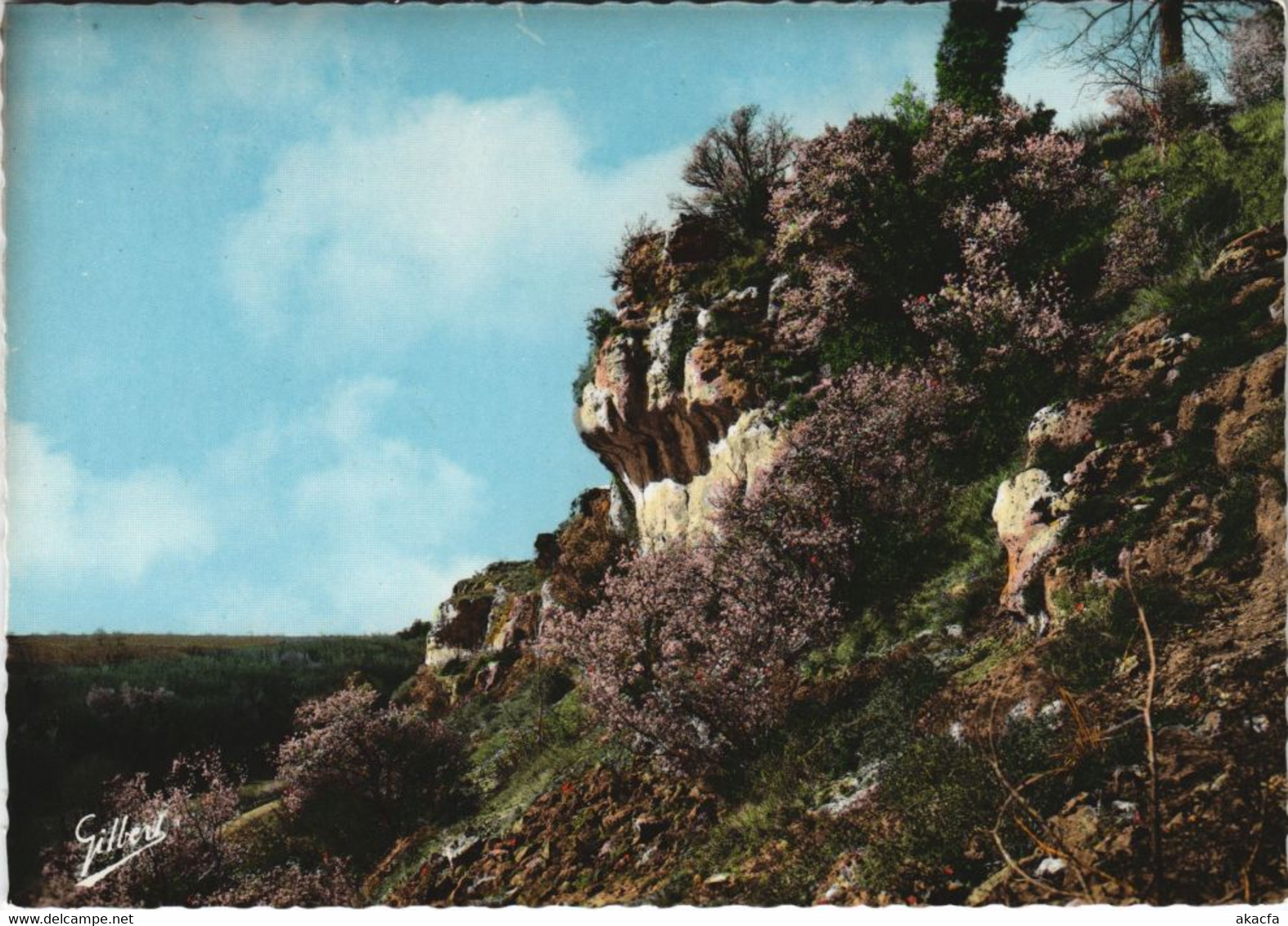 CPM CHATEAUNEUF-sur-CHARENTE Les Rochers de La Font qui Pisse (1169019)