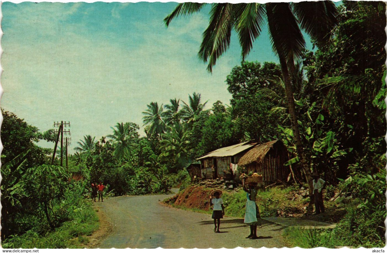 CPM Country scene in Martinique MARTINIQUE (871718)