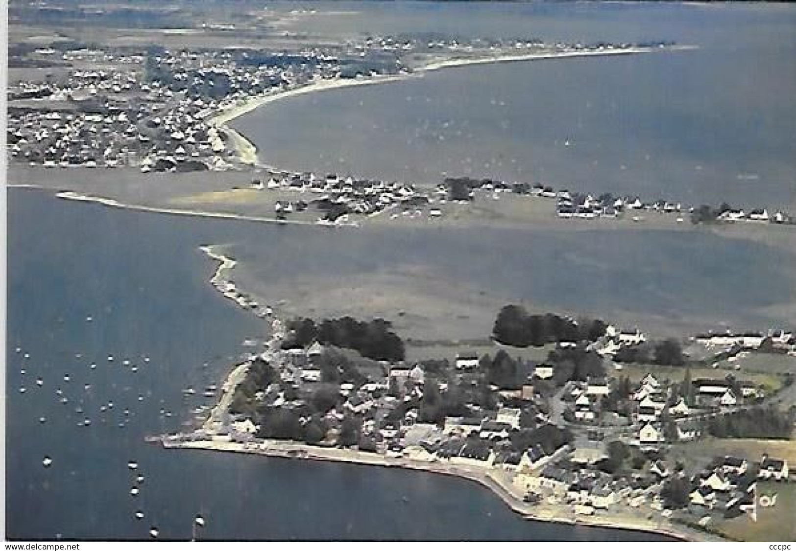 CPM Damgan vue générale sur la Pointe de Penerf et la Plage de Damgan