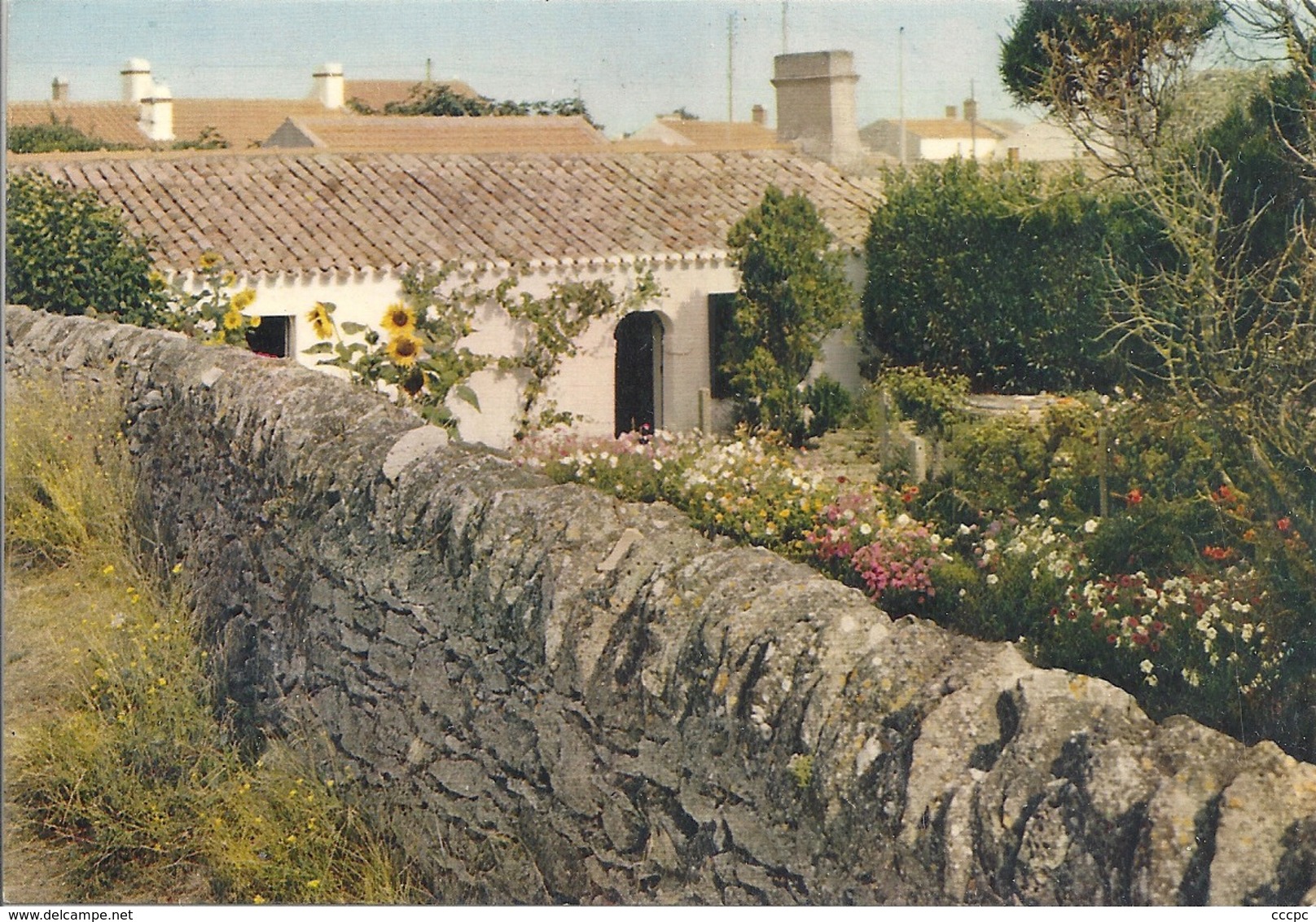 CPM Ile d'Yeu Charme d'une maison vendéenne