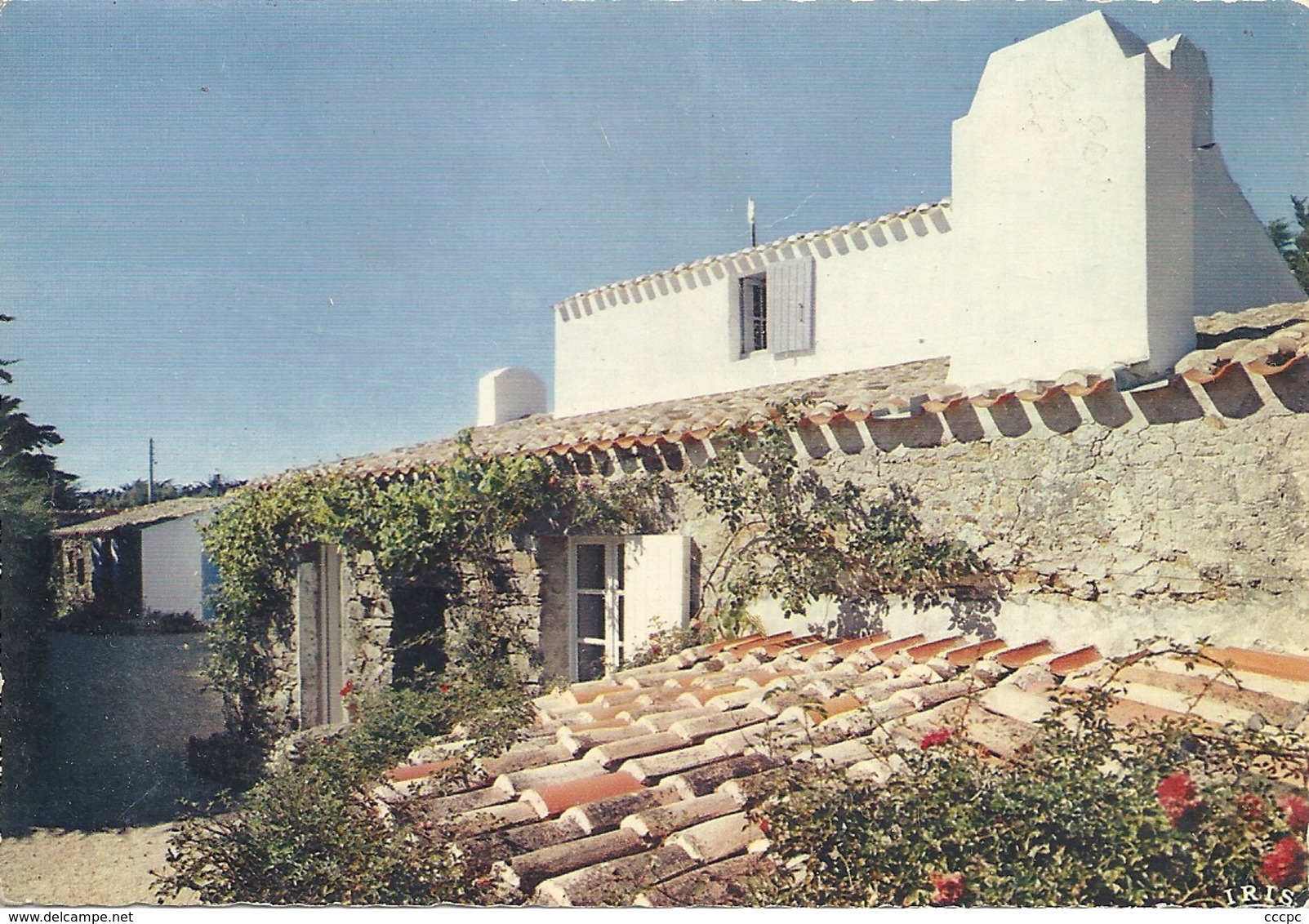 CPM Ile d'Yeu Maison Typique