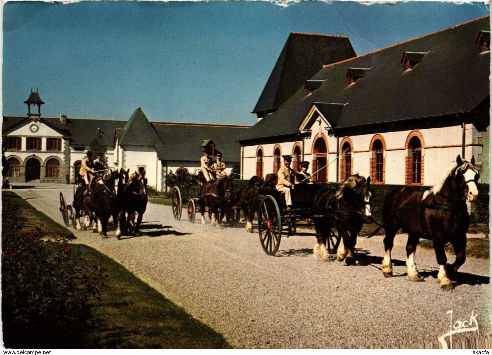 CPM LAMBALLE Haras de Lamballe - Attelages en Tandem (1296245)