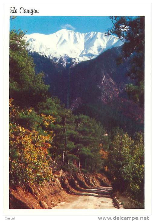 CPM - Le Canigou