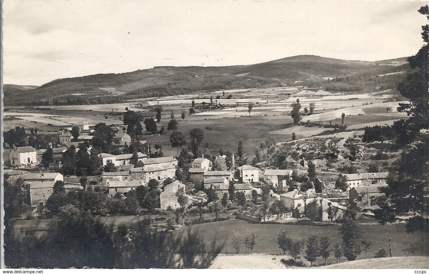 CPM Le Cellier-de-Luc Vue générale