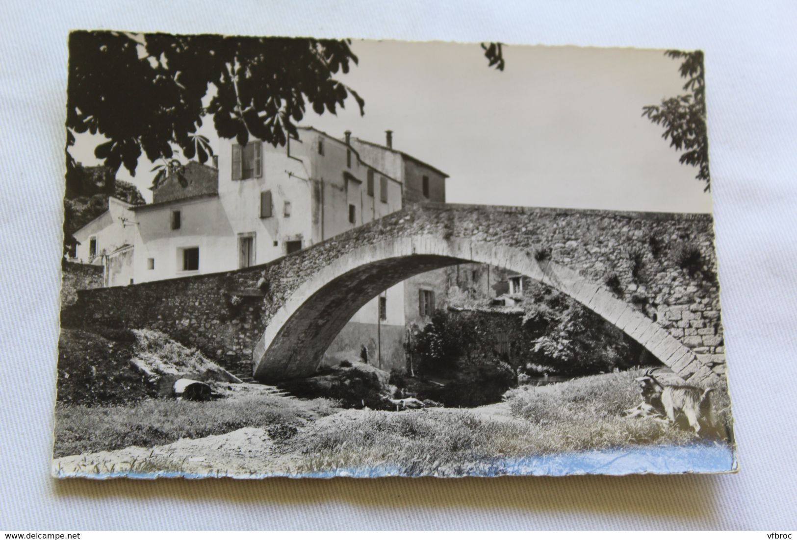 Cpm, Lodève, le pont médiéval de Montifort, Hérault 34