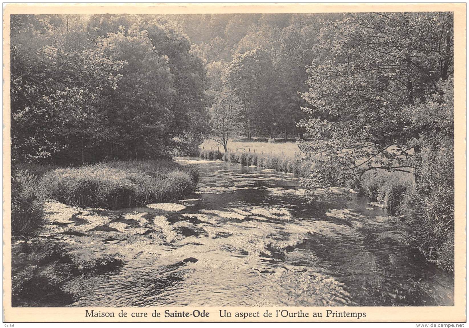 CPM - Maison de cure de SAINTE-ODE - Un aspect de l'Ourthe au Printemps