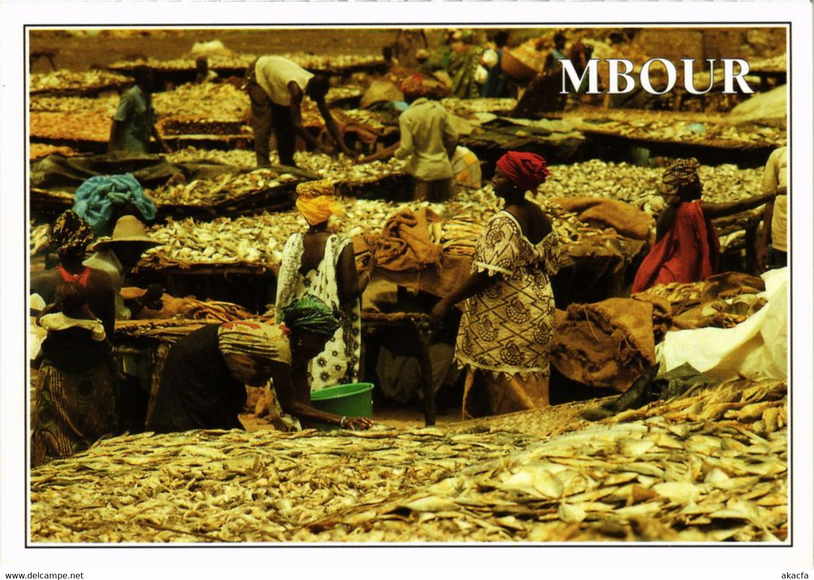 CPM Mbour - Sechage du Poisson a Mbour SENEGAL (1067868)