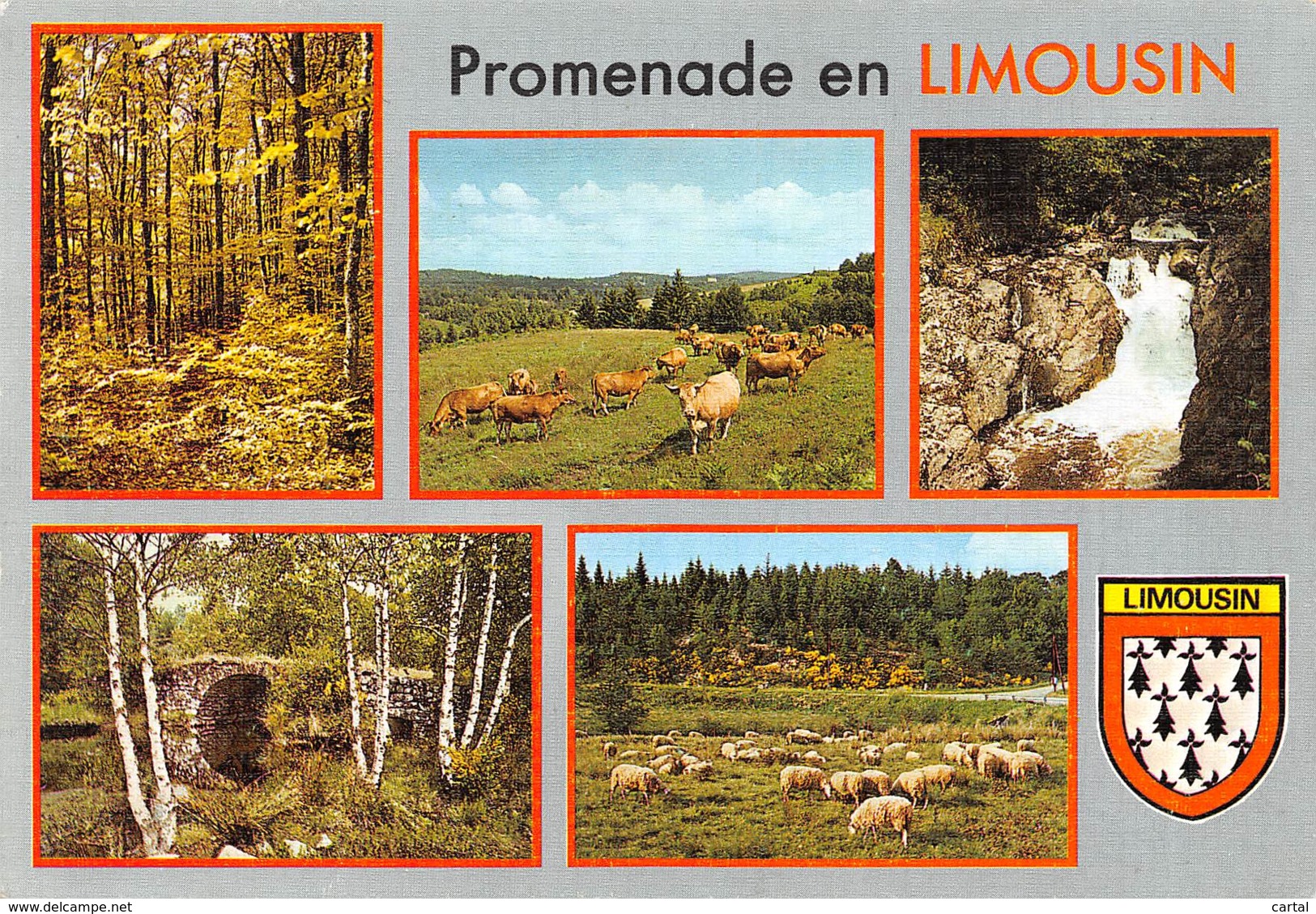 CPM - Promenade en LIMOUSIN