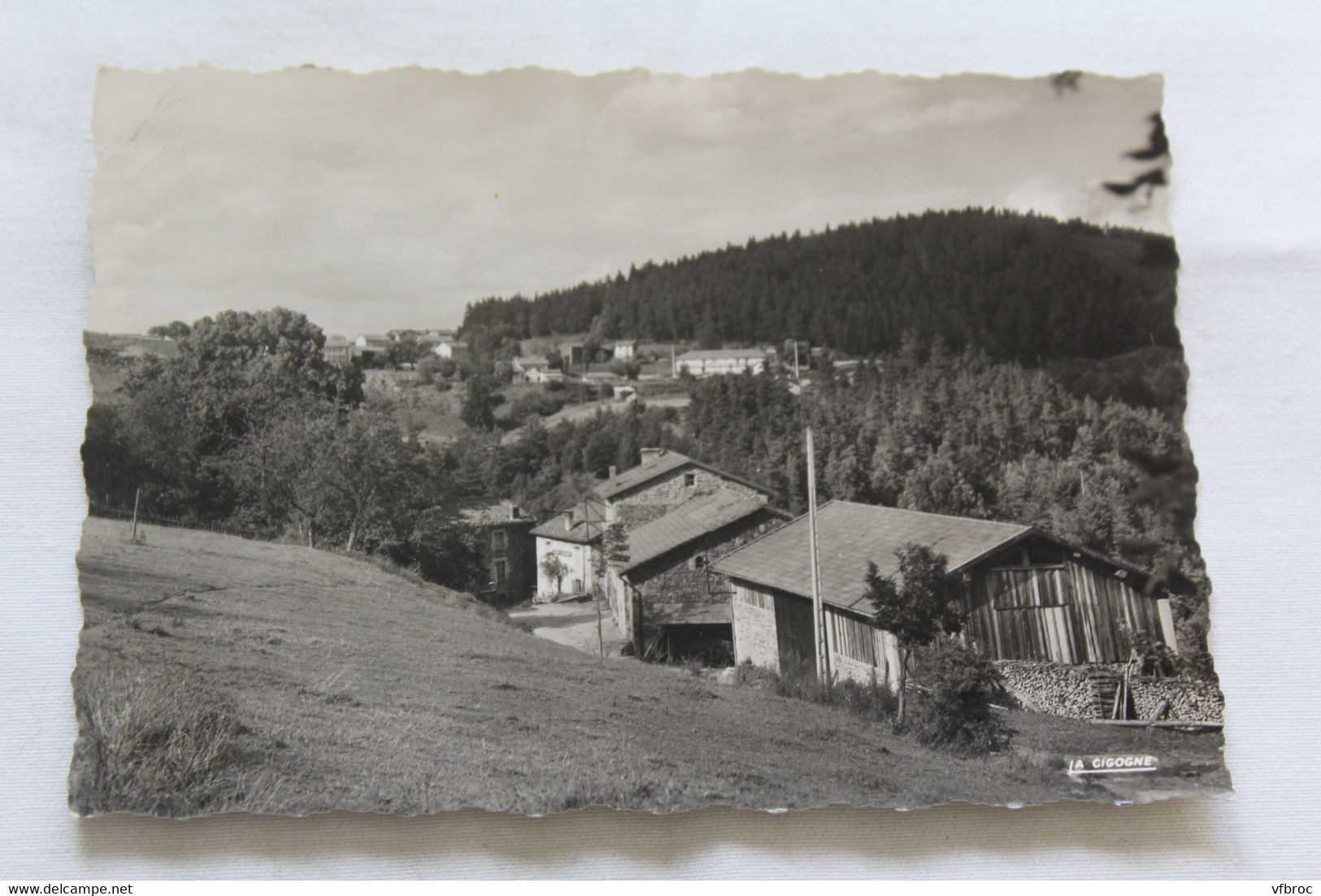 Cpm, Saint Sauveur la Sagne, vue générale (2), Puy de Dôme 63