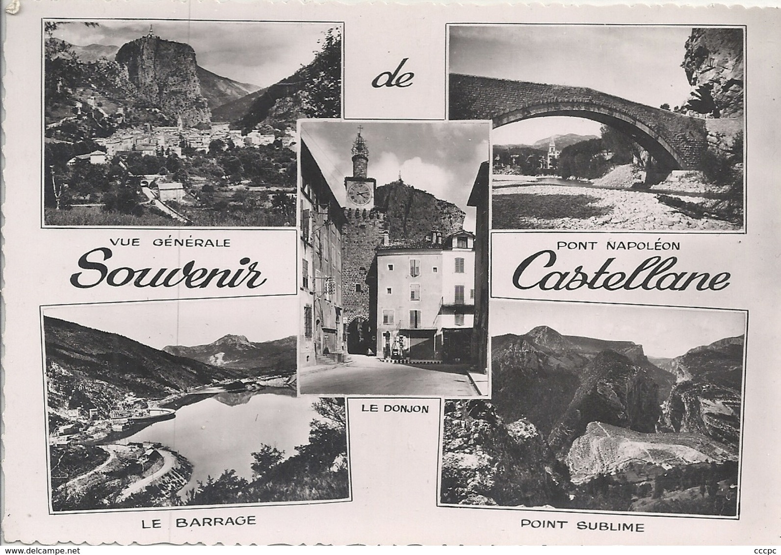 CPM Souvenir de Castellane