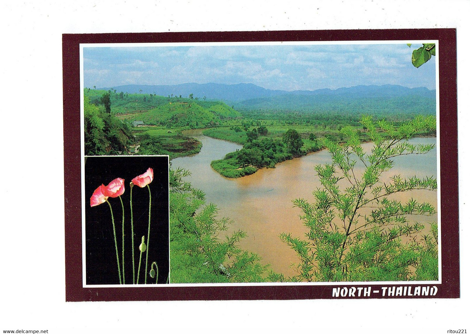 cpm - Thaïlande - Thaïland - NORTH - fleur coquelicot - F 285