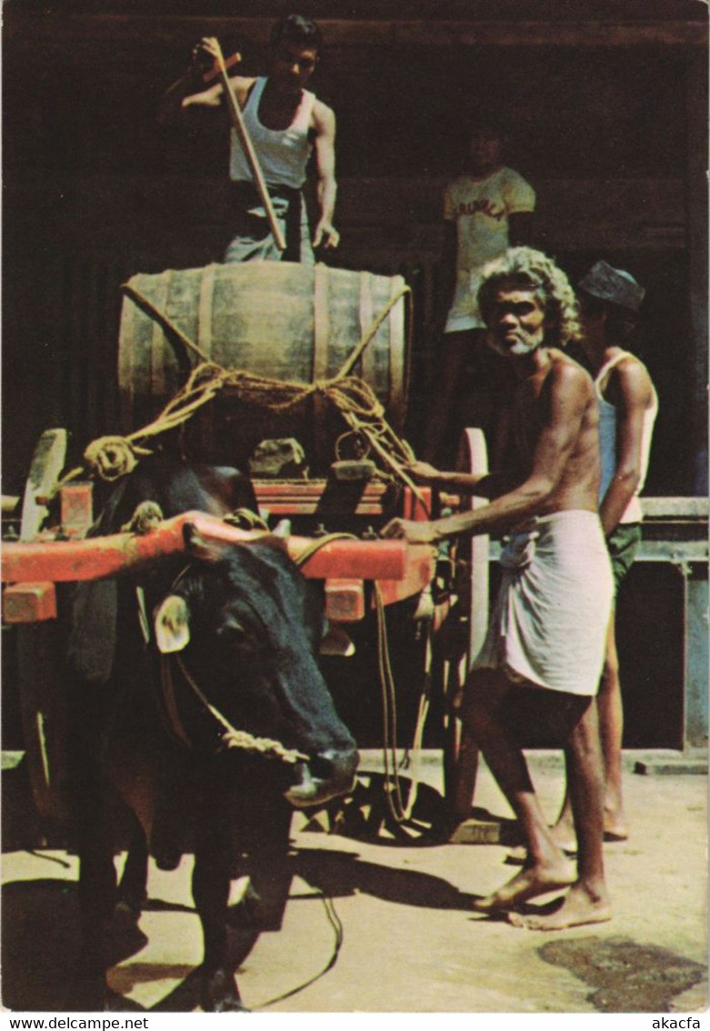 CPM Transporting Toddy CEYLON SRI LANKA (1085923)