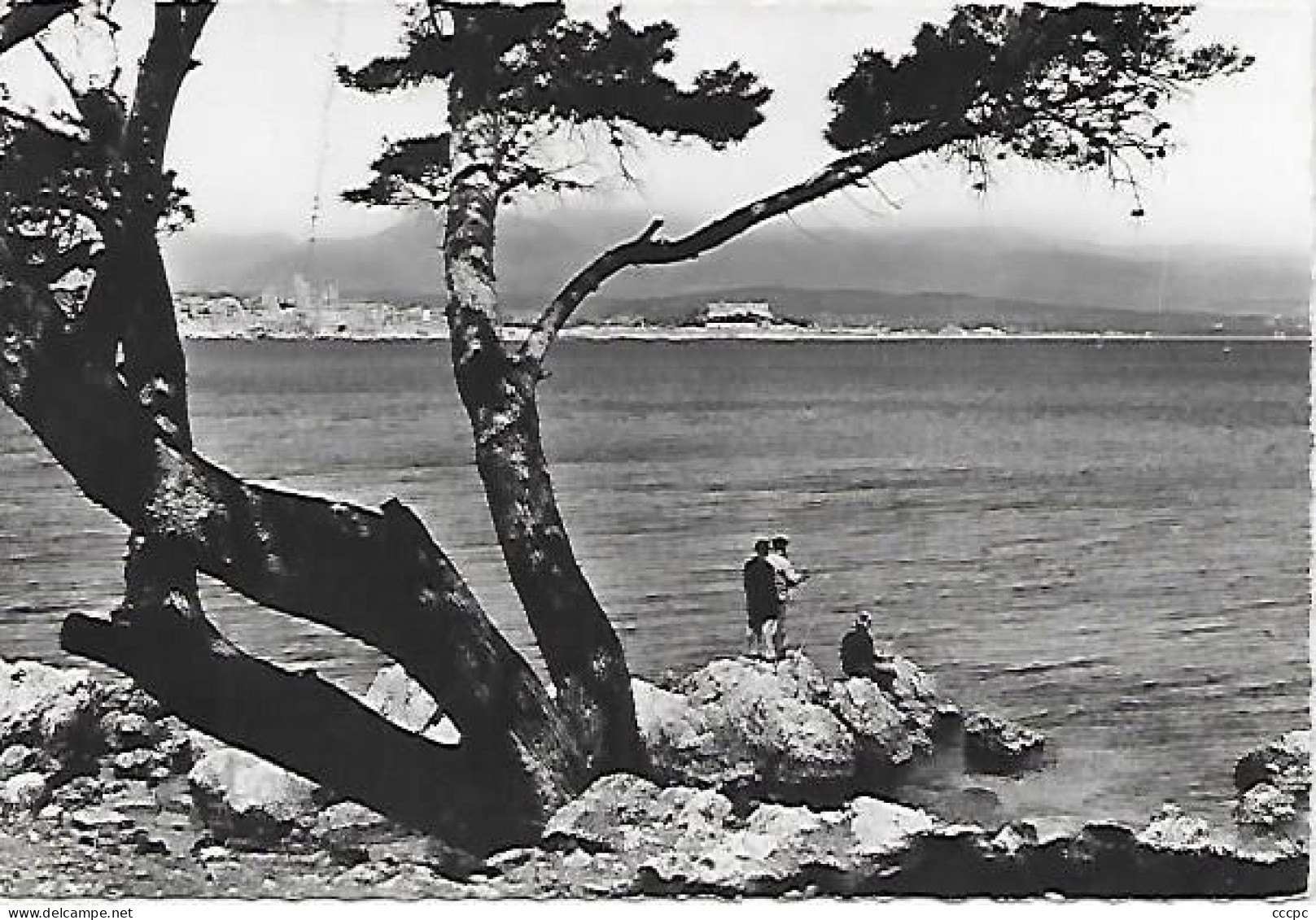 CPSM Antibes vue générale prise du Cap d'Antibes