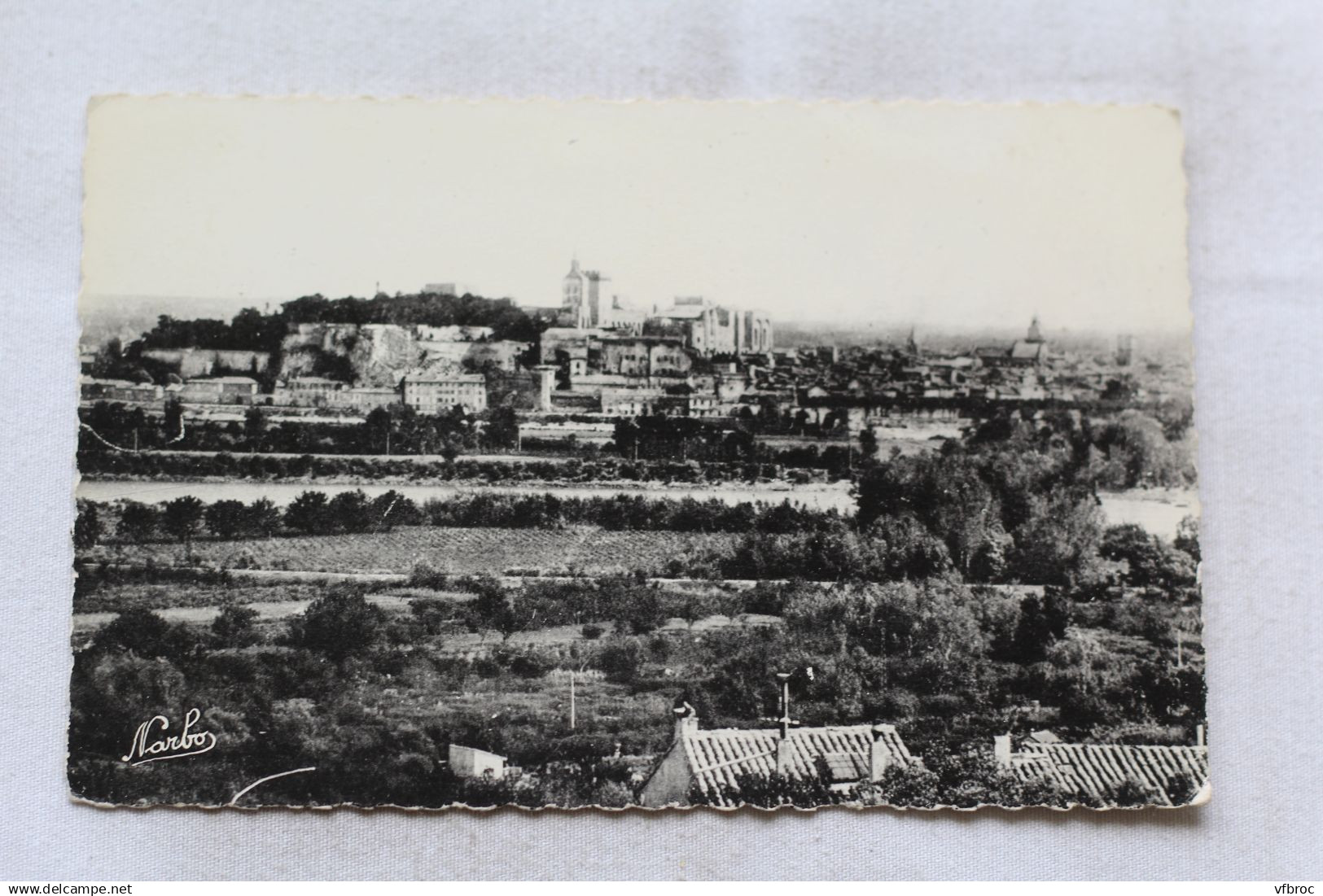 Cpsm, Avignon, vue générale prise de Villeneuve les Avignon, Vaucluse 84