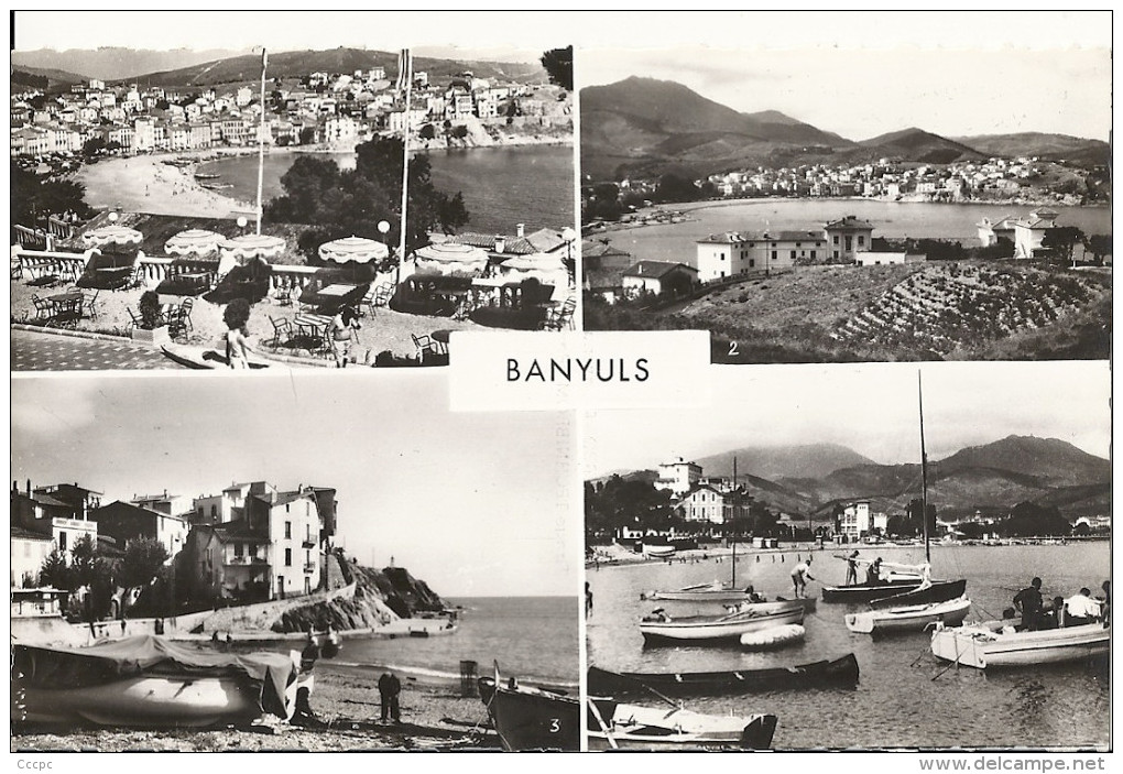 CPSM Banyuls-sur-Mer - Vues multiples