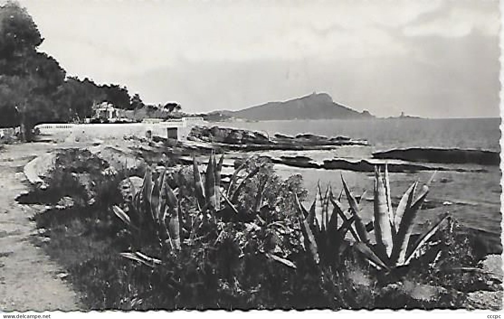 CPSM Boulouris Plage du Débarquement et le Cap Dramont