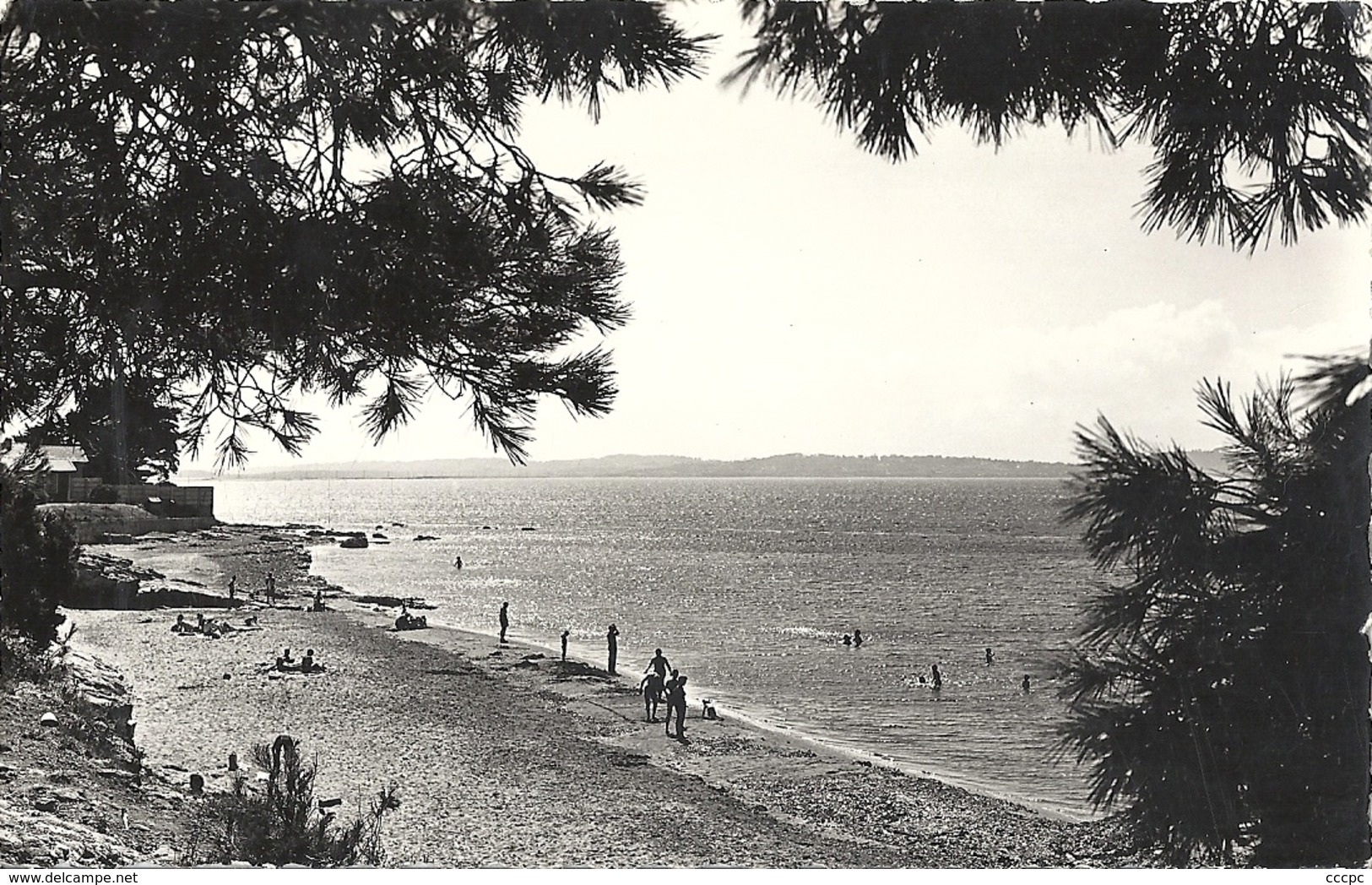 CPSM Carqueiranne Plage San-Salvadour