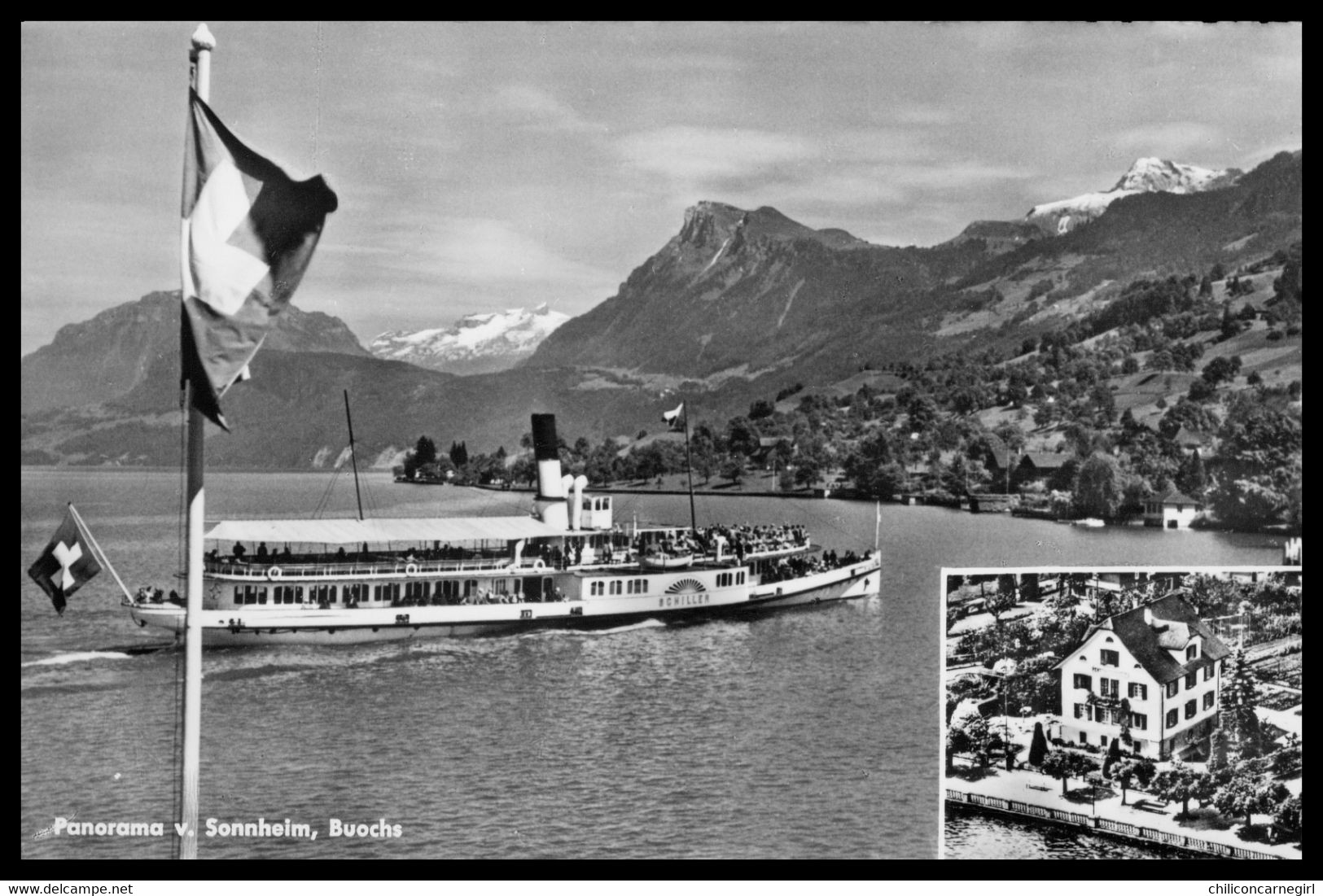 Cpsm Dentelée - Panorama Sonnheim - BUOCHS - Pension und Restaurant Sonnheim - Vierwaldstättersee