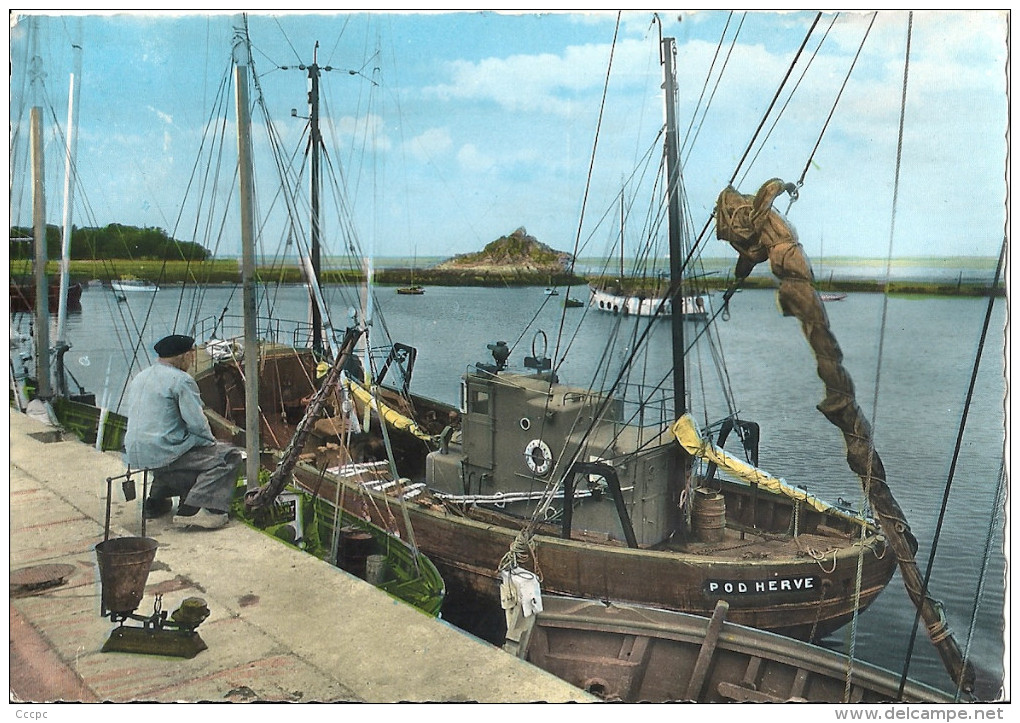 CPSM Douarnenez  Bateaux de pêche