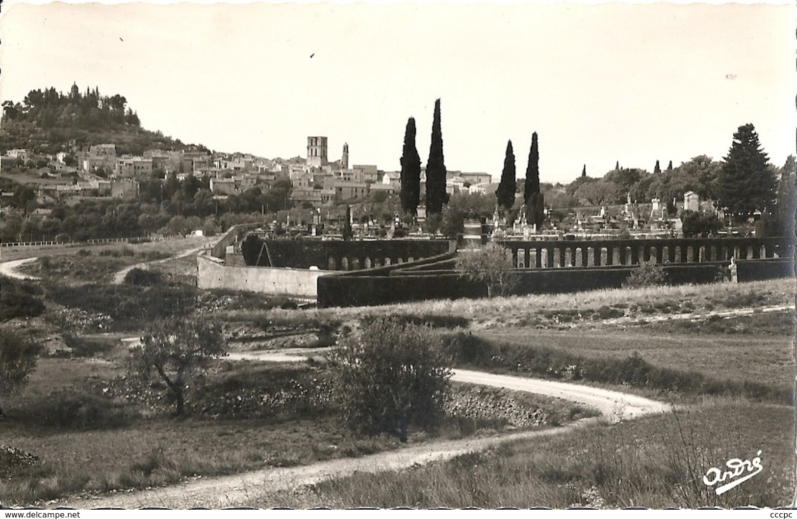 CPSM Forcalquier Le Cimetière