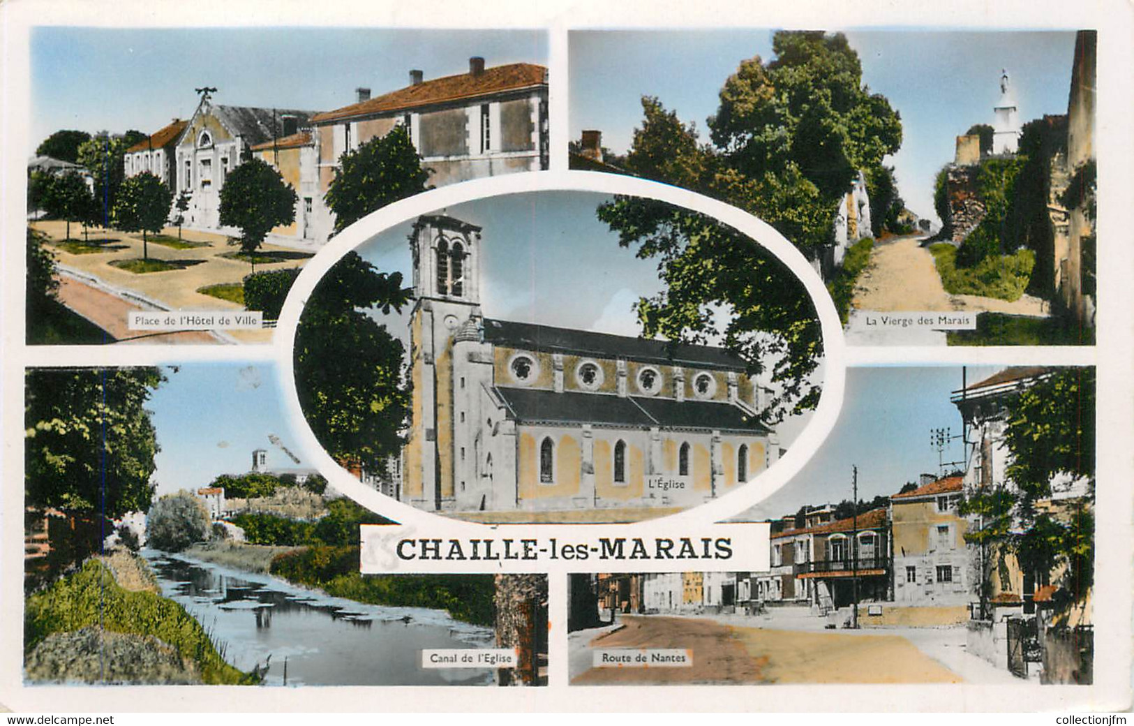 CPSM FRANCE 85 "Chaille les Marais"