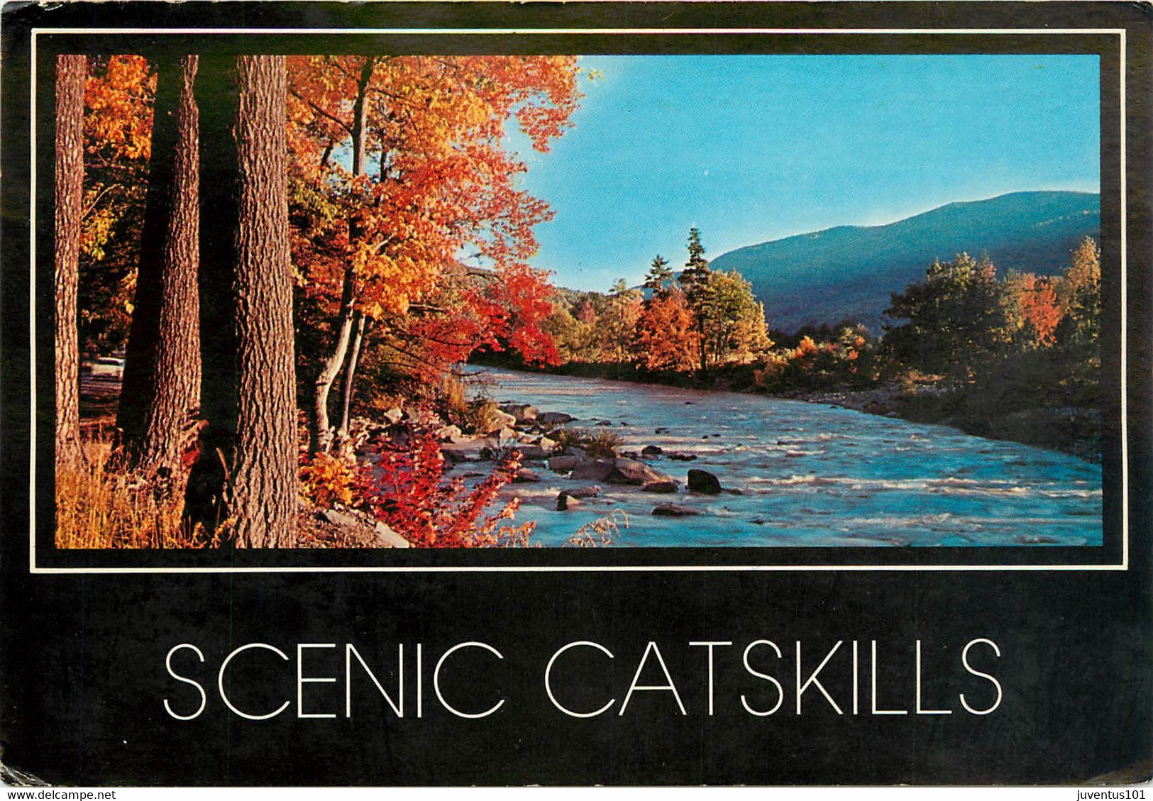 CPSM Grettings from Fleischmanns-Scenic Catskills   L714