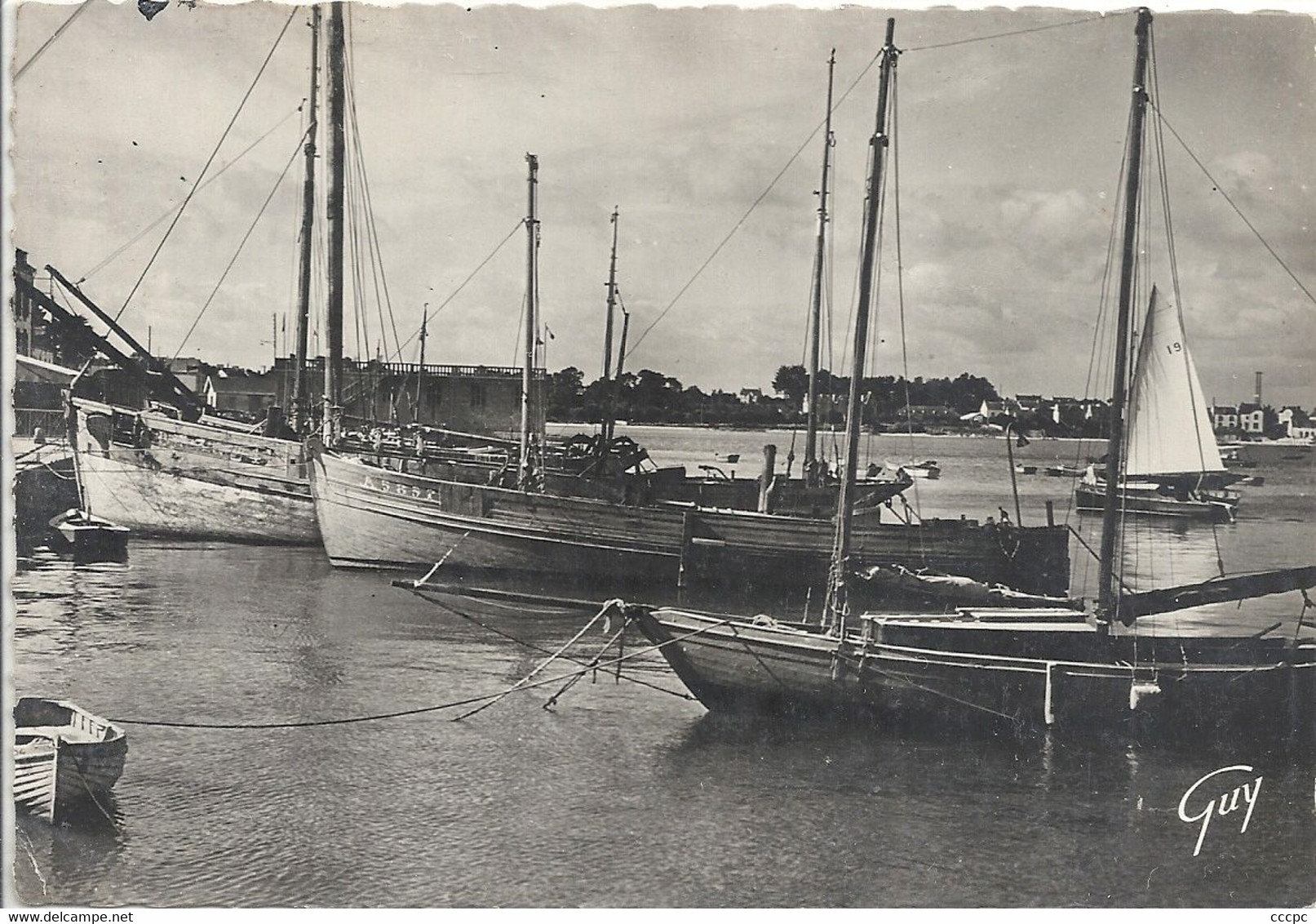 CPSM La Trinité-sur-Mer Le Port