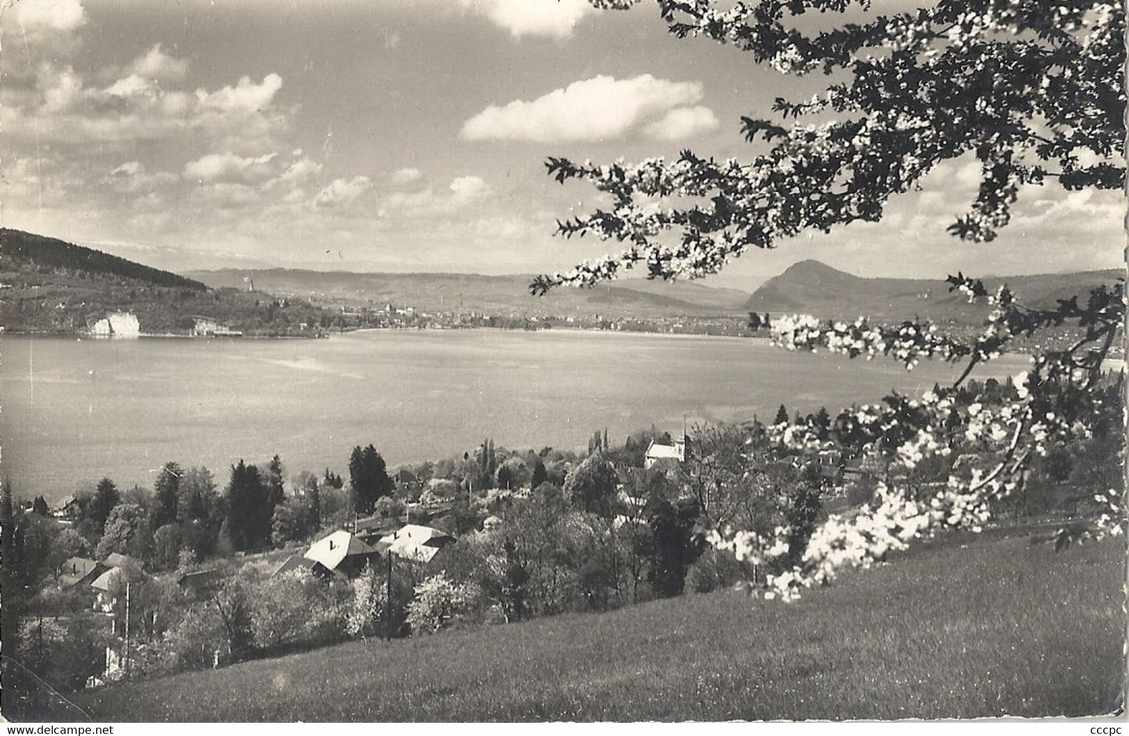 CPSM Lac d'Annecy Veyrier vue générale Dans le fond Annecy