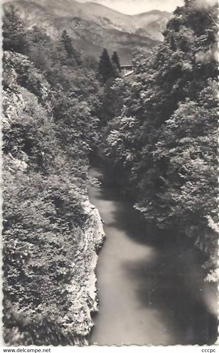 CPSM Mieussy Gorges du Giffre au Pont du Diable