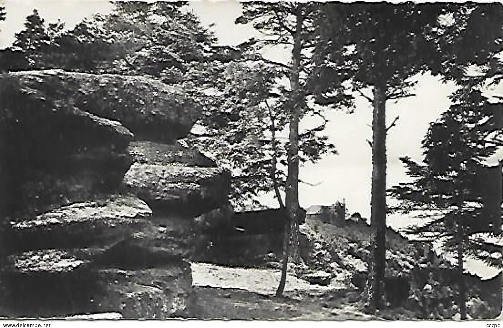 CPSM Mont Sainte-Odile Vue sur le Beckenfelsen