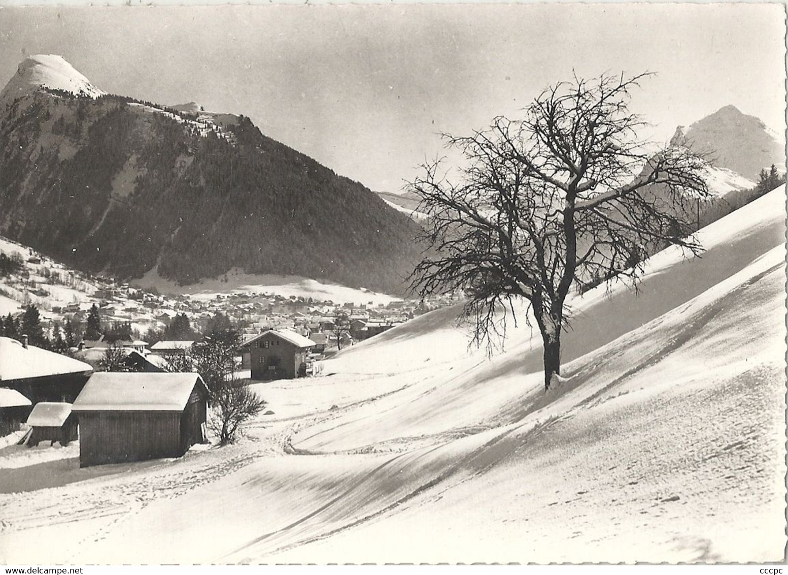 CPSM Morzine Pointe de Ressachaux