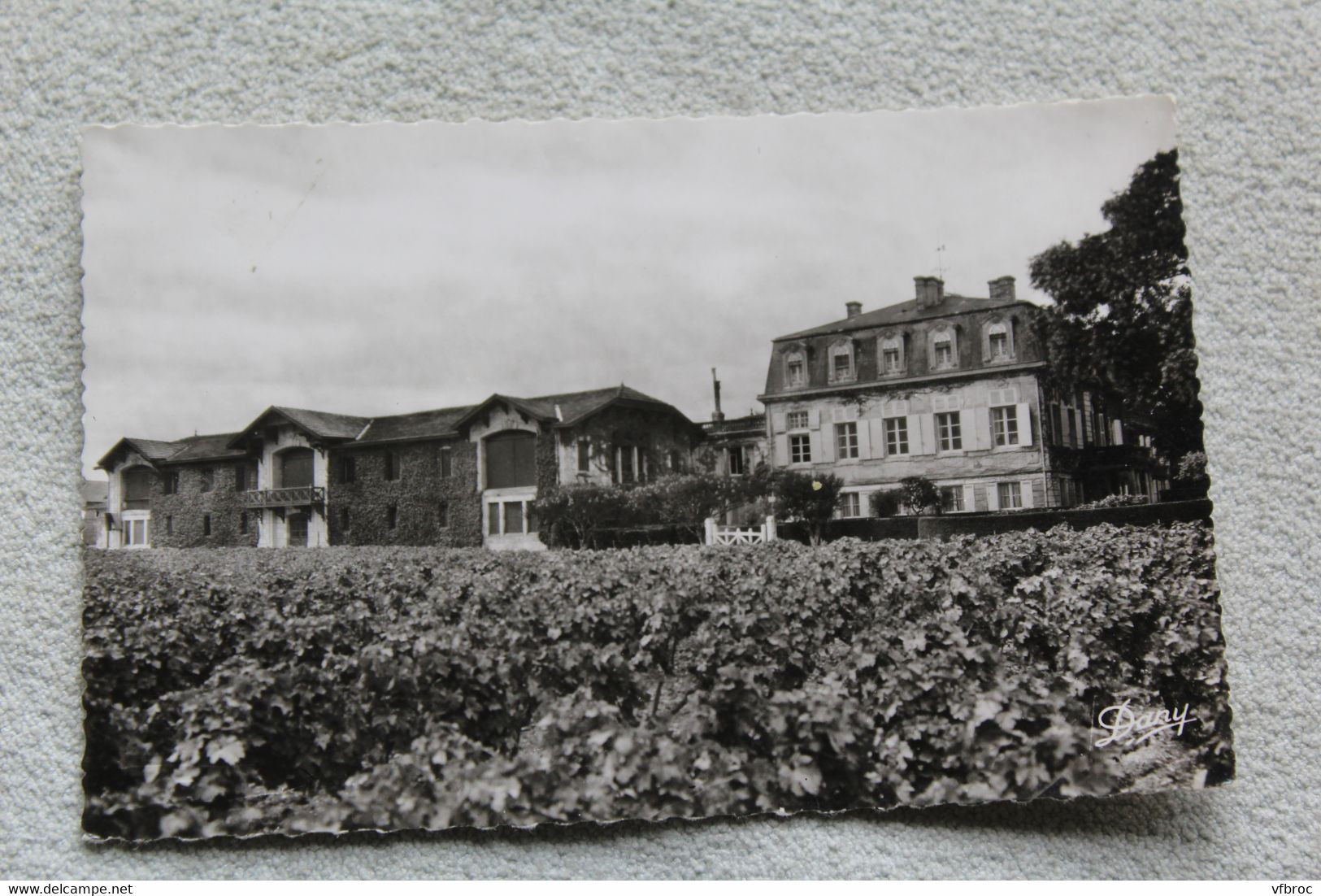 Cpsm, Pauillac, château Pontet Canet, Gironde 33