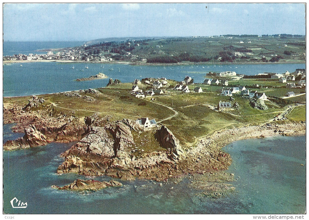 CPSM Plougasnou - pointe de Primel - vue aérienne