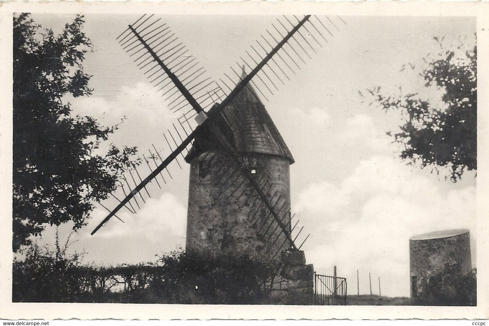 CPSM Pouzauges Vieux Moulin du Terrier Marteau (Point culminant)