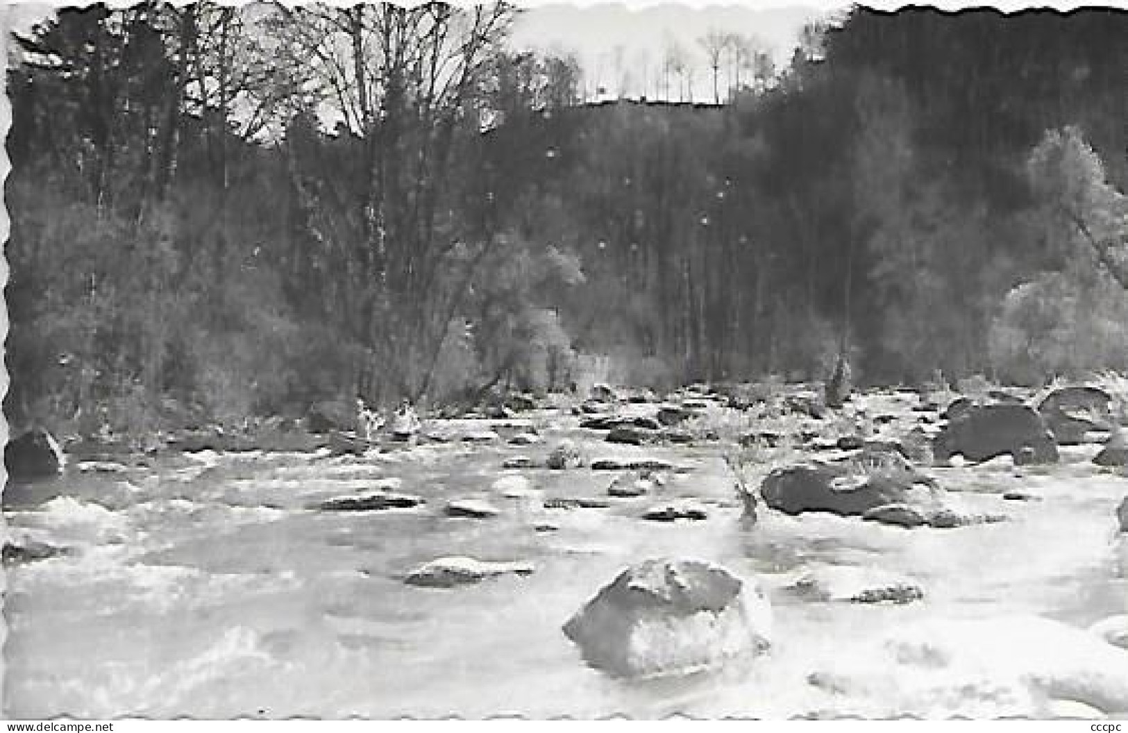 CPSM Putanges  Les Gorges de Saint-Aubert