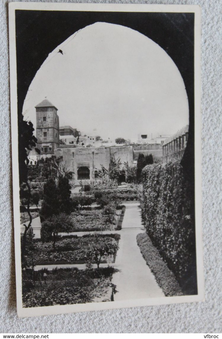 Cpsm, Rabat, jardin des Oudaias, Maroc