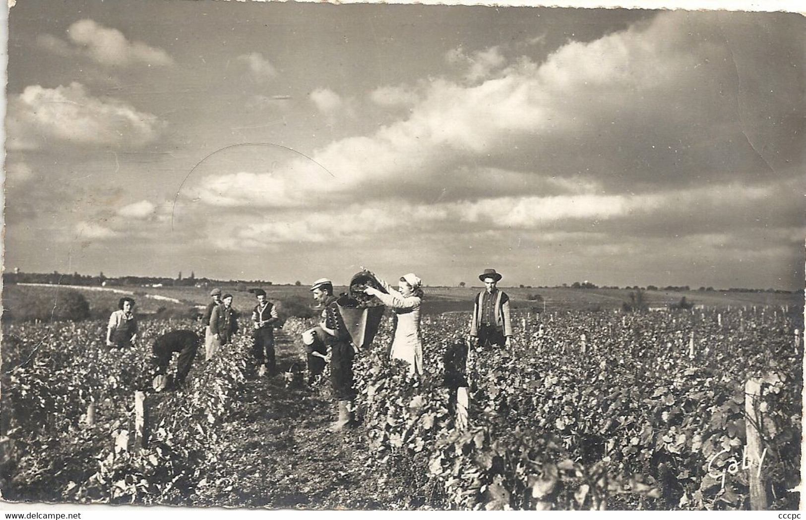 CPSM Reugny Vendanges sur le Côteau