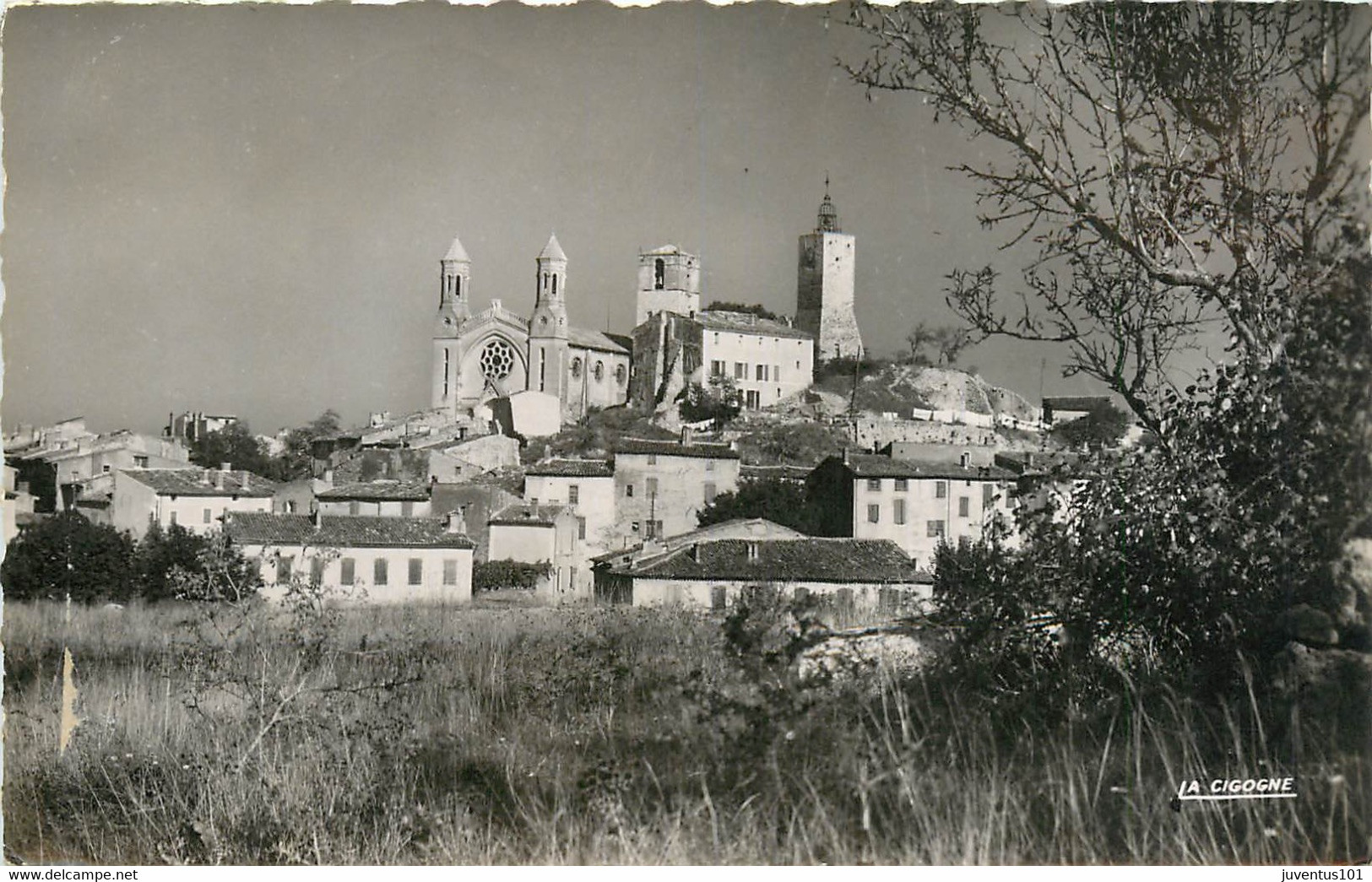 CPSM Rians-La cathédrale      L490