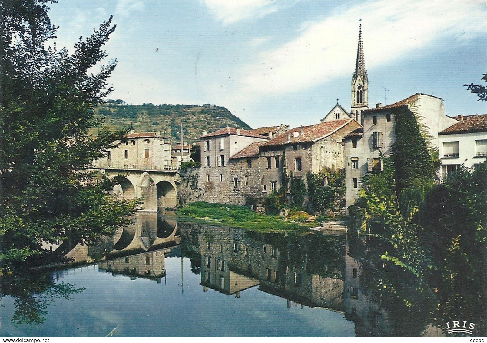 CPSM Saint-Antonin-Noble-Val Les Bords de la Rivière