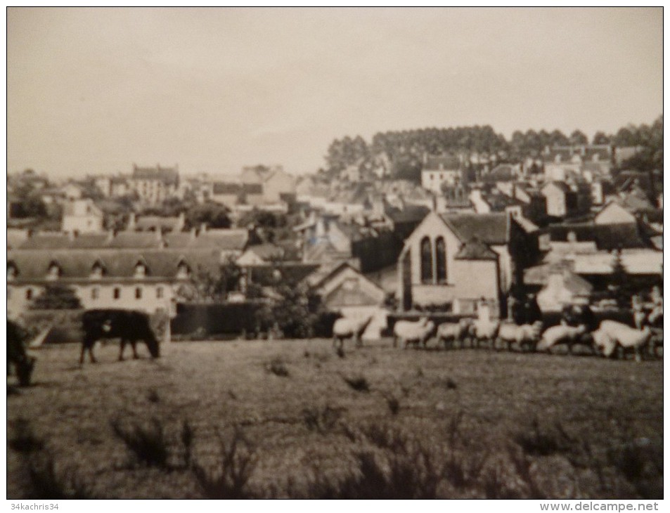 CPSM Saint Nicolas du Pelem. Vue générale