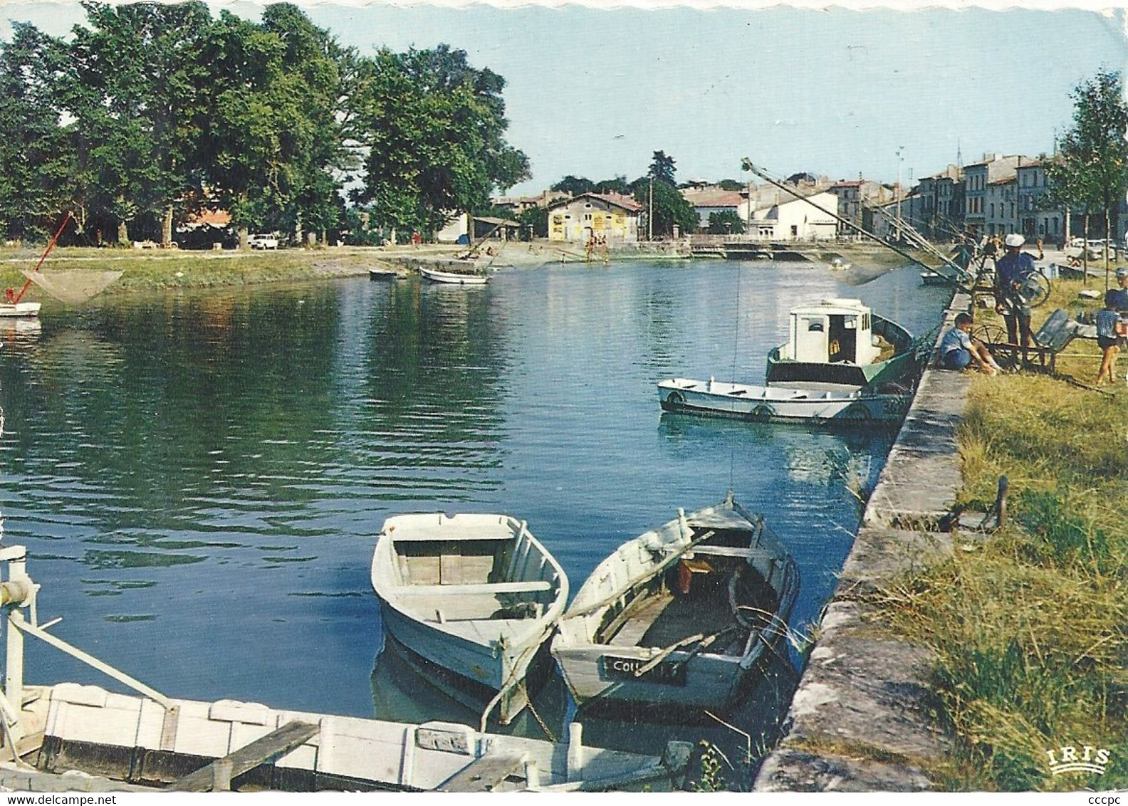 CPSM Saujon sur la Seudre le port de Riberou