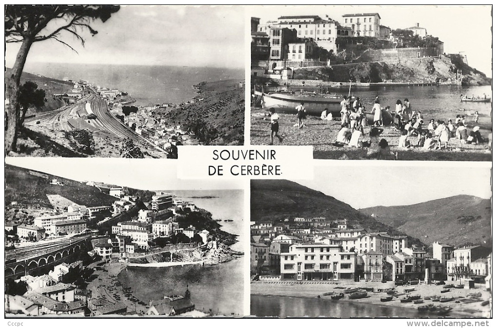 CPSM Souvenir de Cerbère - Vues multiples