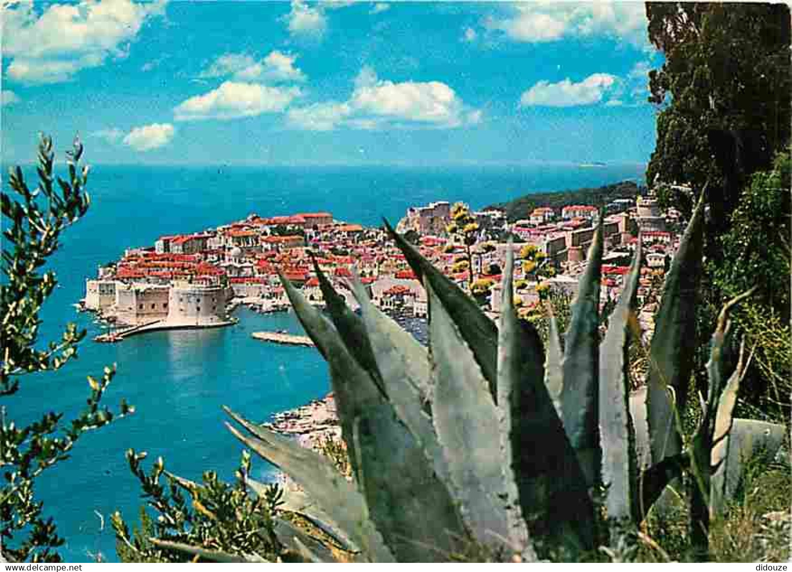 Croatie - Dubrovnik - CPM - Voir Scans Recto-Verso