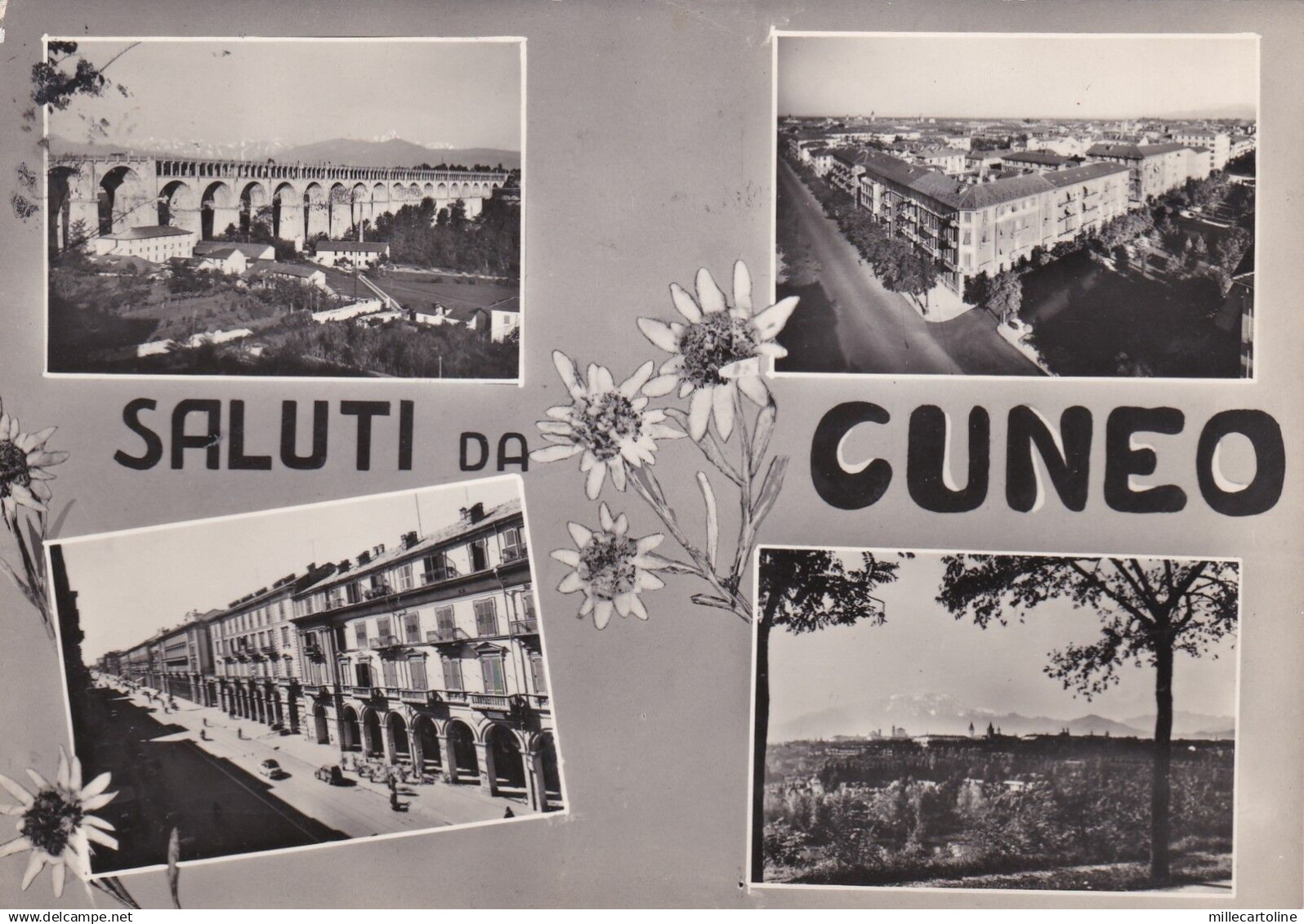 # CUNEO: SALUTI DA  - 1956