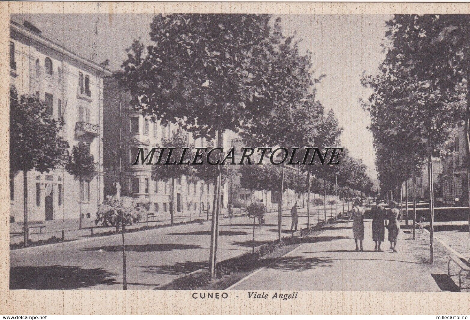 CUNEO:  Viale Angeli