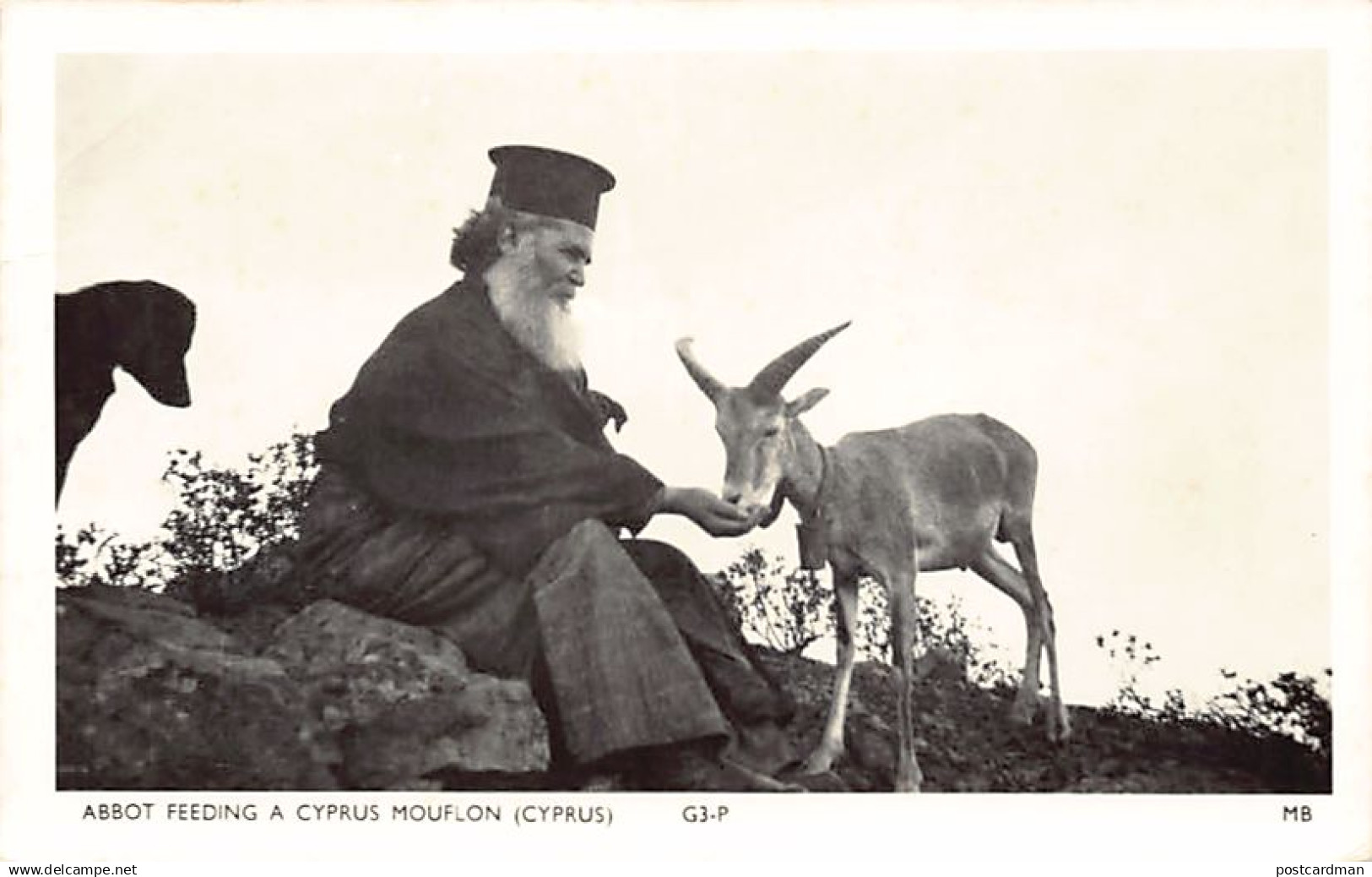 Cyprus - Abbot feeding a cyprus mouflon - REAL PHOTO - PUBL. MB