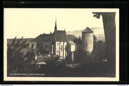 AK Sternberg, Schloss Sternberg