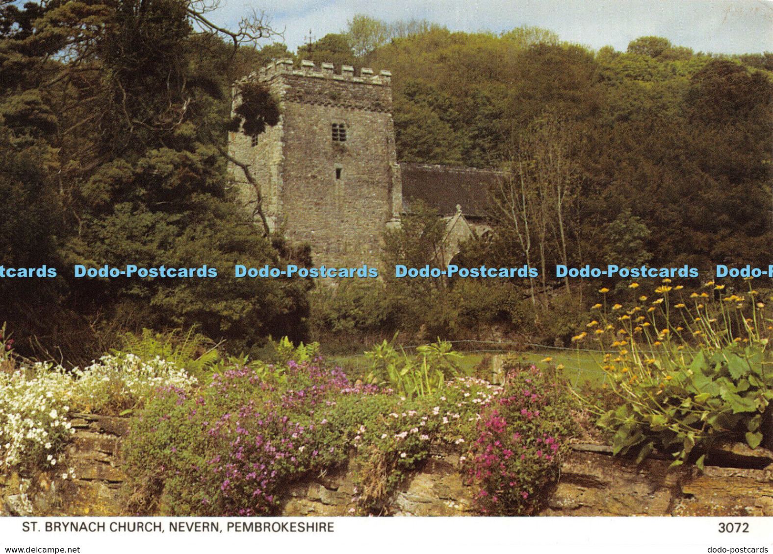 D003725 St. Brynach Church. Nevern. Pembrokeshire. Pembrokeshire Eye. Preseli